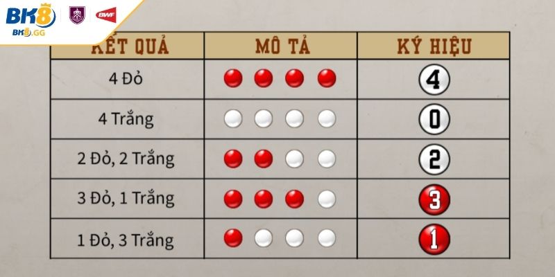 Hiểu cấu trúc từng loại cầu