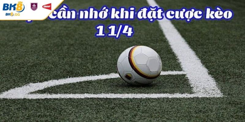 Kèo Chấp 1 1/4 BK8 - Cách Đọc Và Lưu Ý Hỗ Trợ Chơi Tối Ưu 1 Khám phá kèo chấp 1 1/4 BK8