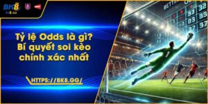 Tỷ lệ Odds là gì? Bí quyết soi kèo chính xác nhất